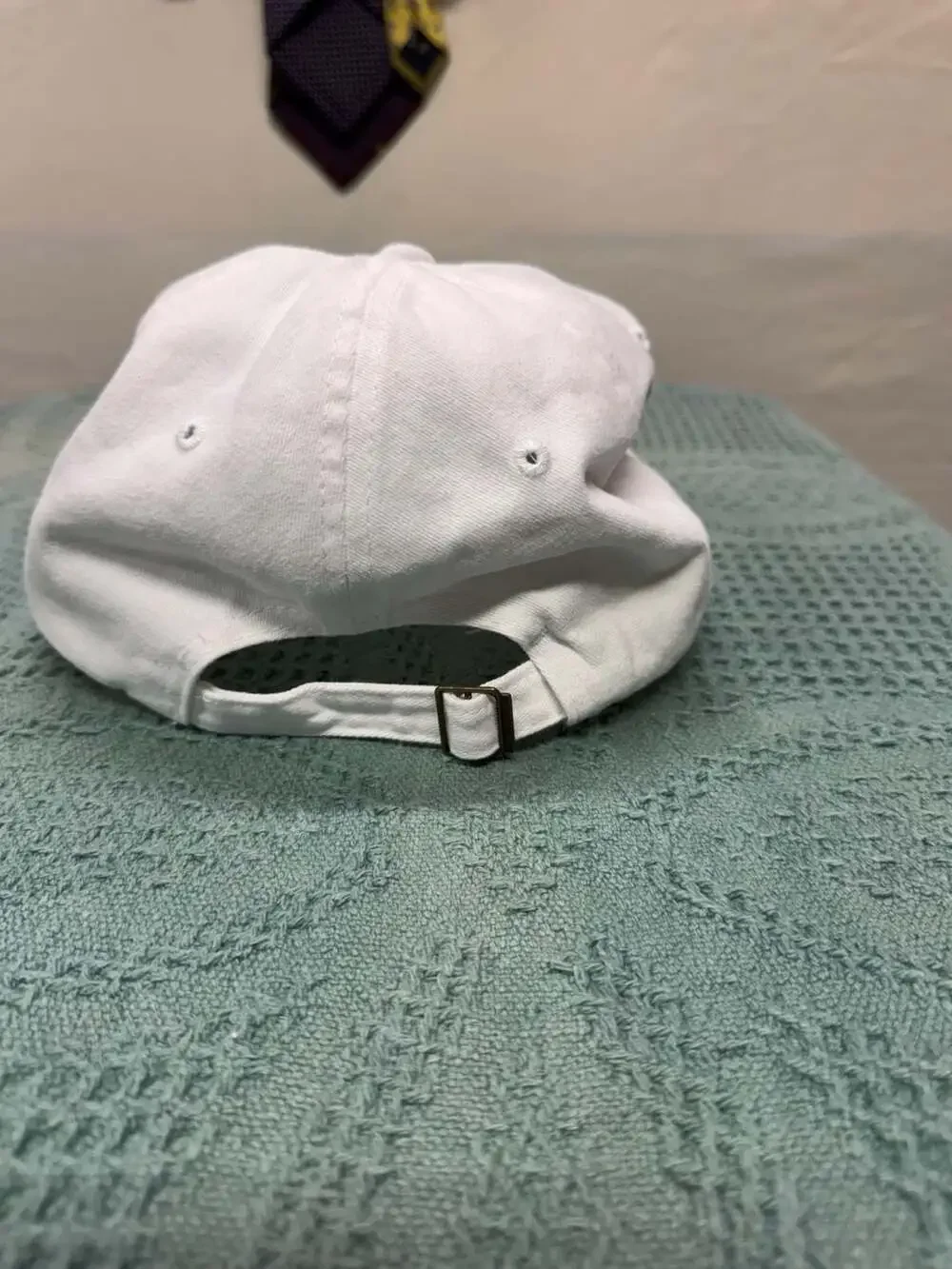 Swiftie Est. 1989 Embroidered Cotton Baseball Hat